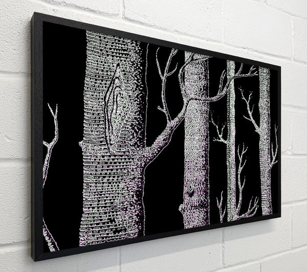 Tree Bark