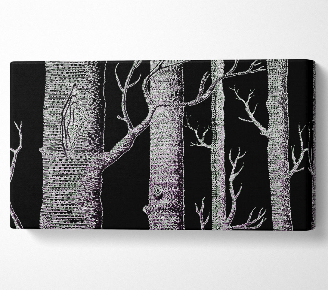  A Canvas Print of Tree Bark Canvas Art