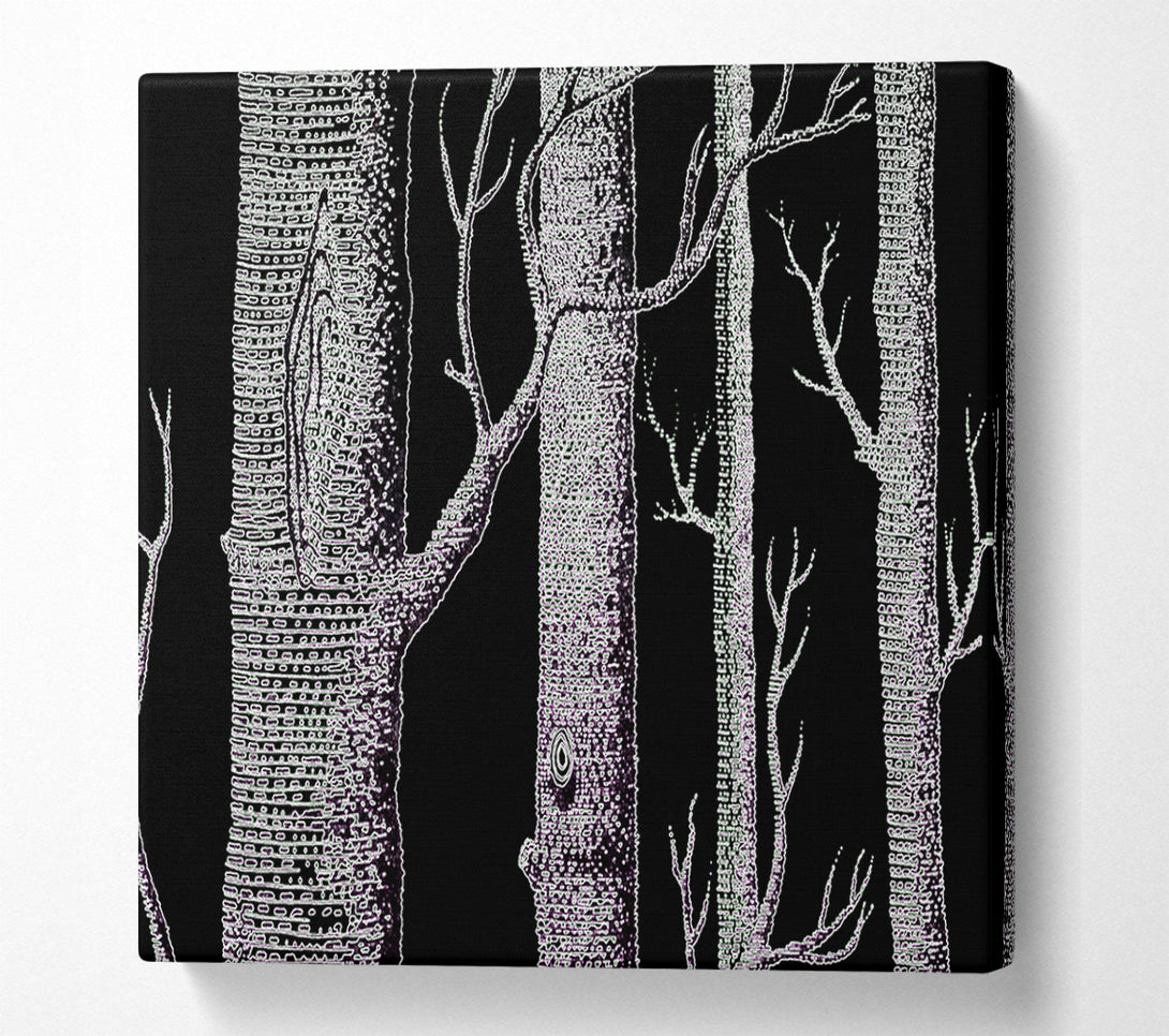  A Canvas Print of Tree Bark Canvas Art
