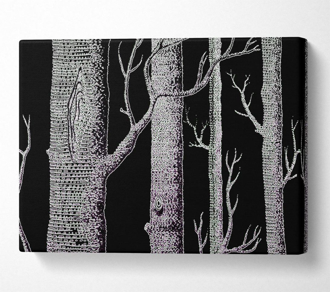  A Canvas Print of Tree Bark Canvas Art