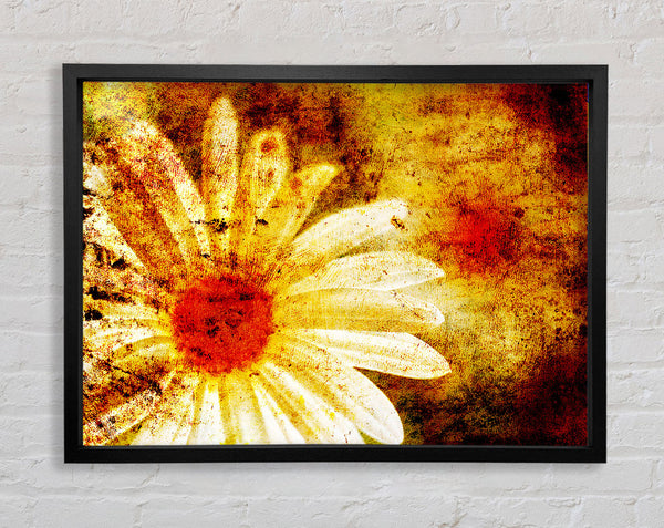 Yellow Daisy Splash Framed Print