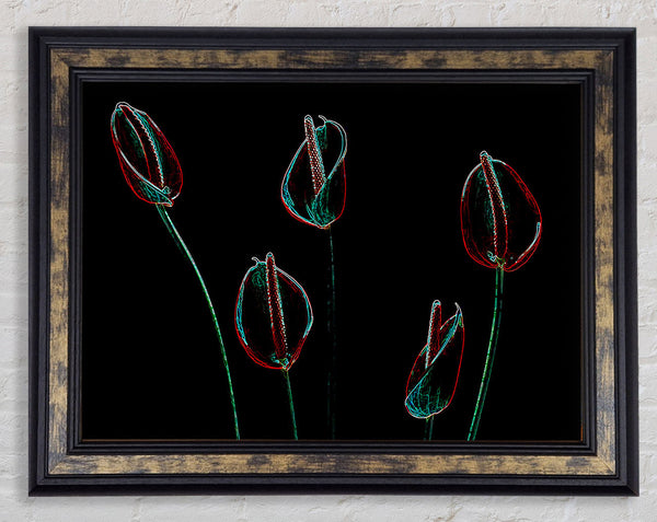 Abstract Neon Night Flowers Framed Print