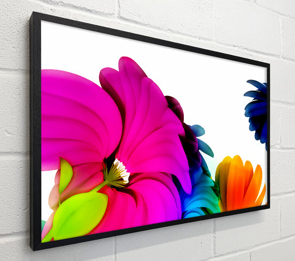 Colourful Vibrant Petals