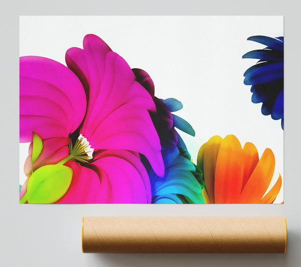 Colourful Vibrant Petals Poster