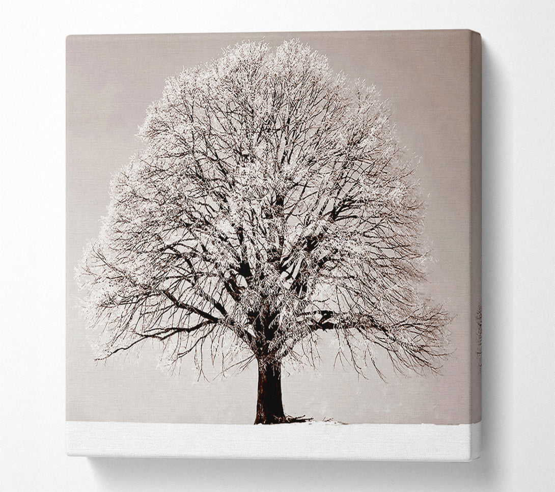  A Canvas Print of Lonely Winter Tree Canvas Wall Art