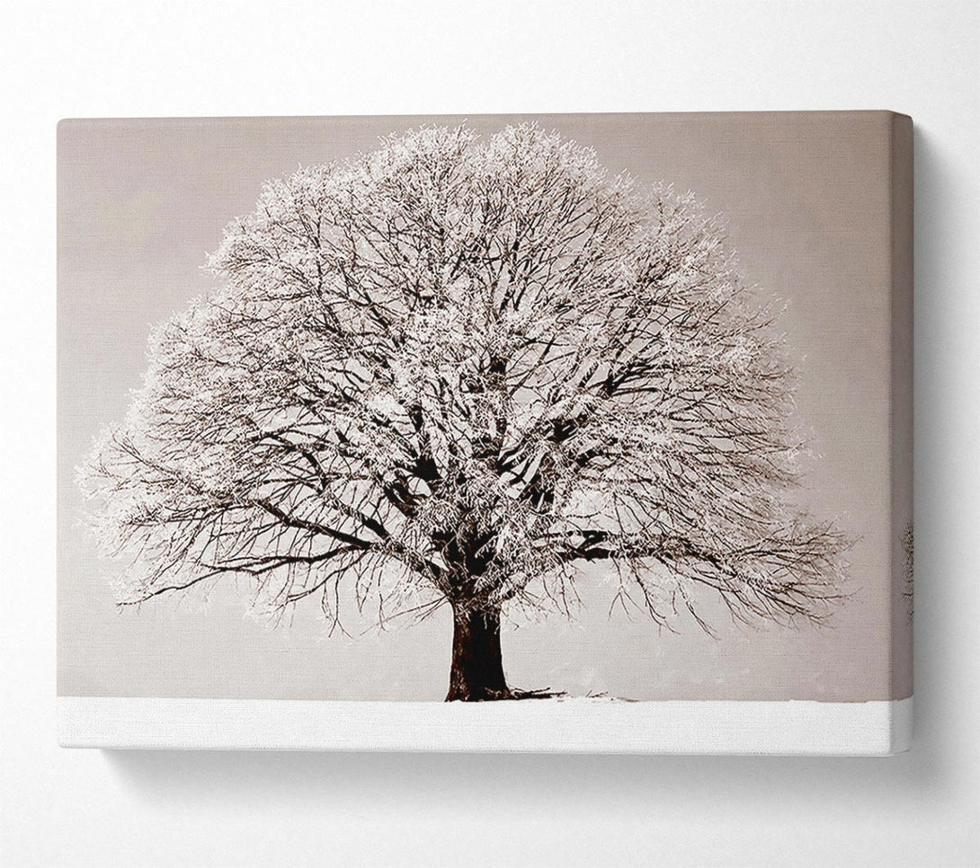  A Canvas Print of Lonely Winter Tree Canvas Wall Art