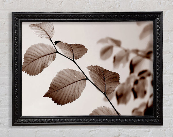 Cocoa Leaves Framed Print