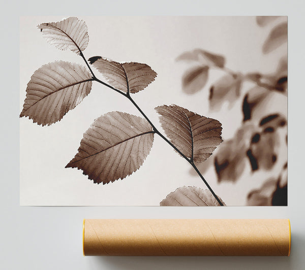 Cocoa Leaves Print