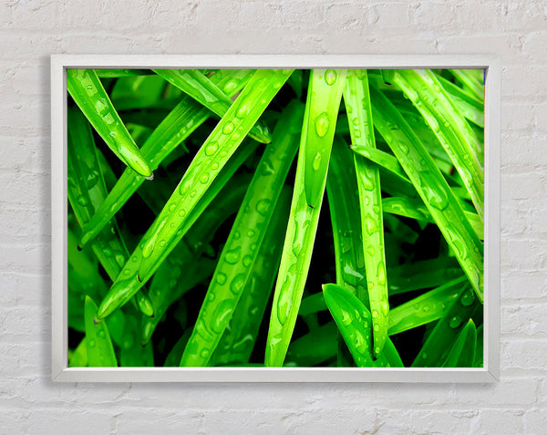 Green Leaves Framed Print