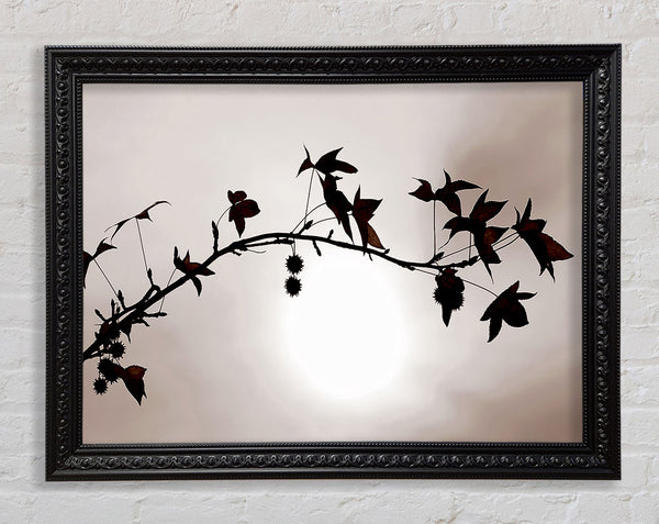 Cocoa Leaves n Berries In Sunlight Framed Print