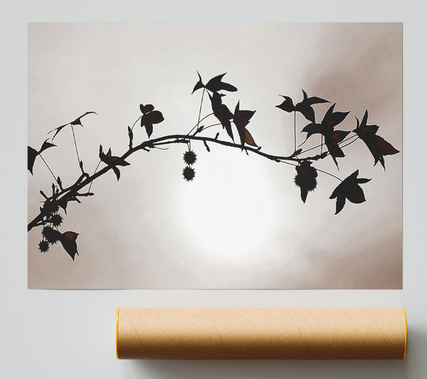 Cocoa Leaves N Berries In Sunlight Print