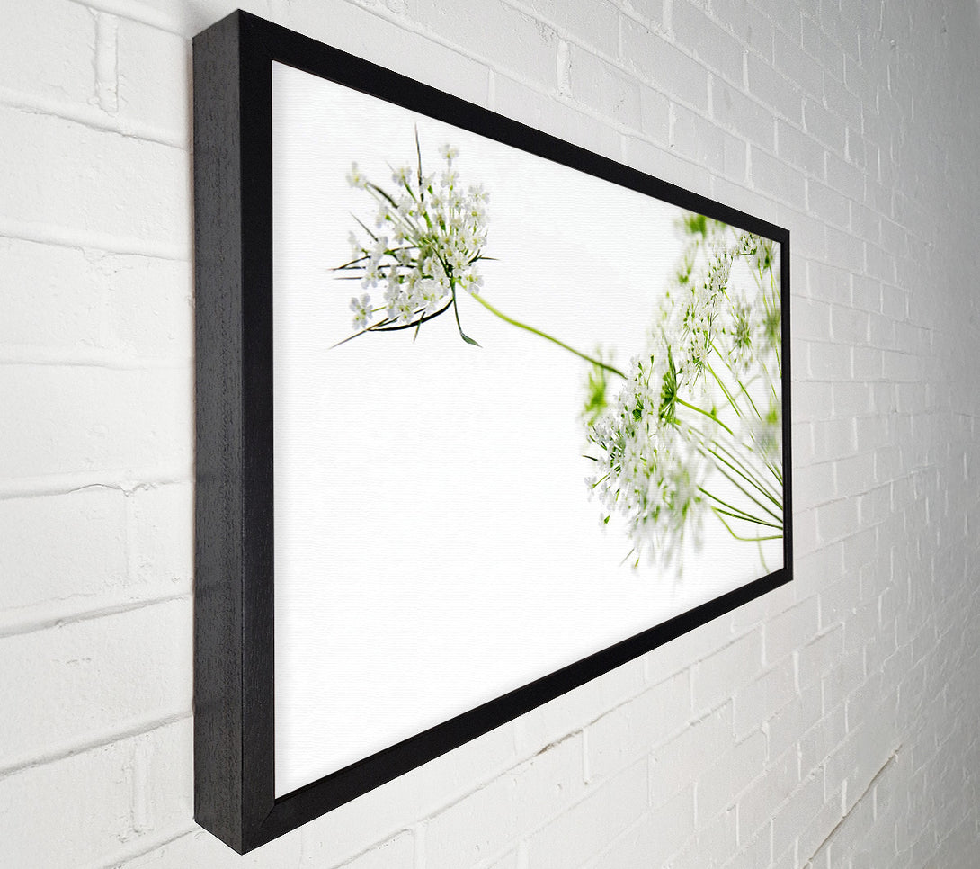  A Canvas Print of White On White Flowers Canvas Art