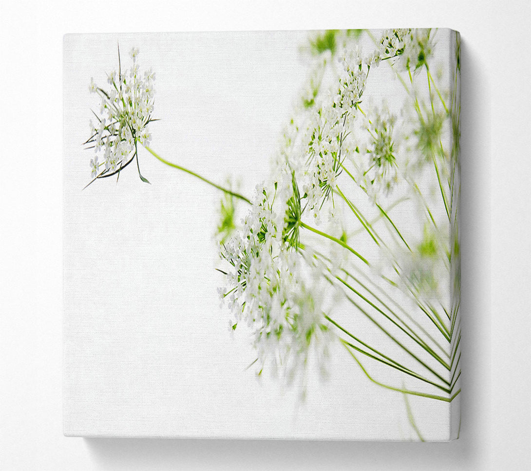  A Canvas Print of White On White Flowers Canvas Art