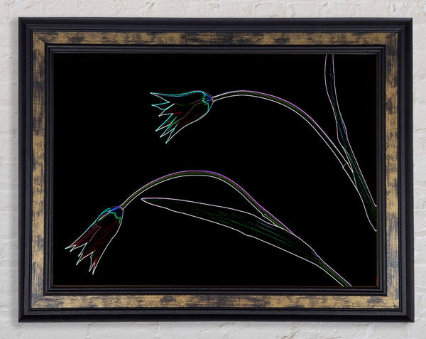 Abstract Neon Floral 27 Framed Print