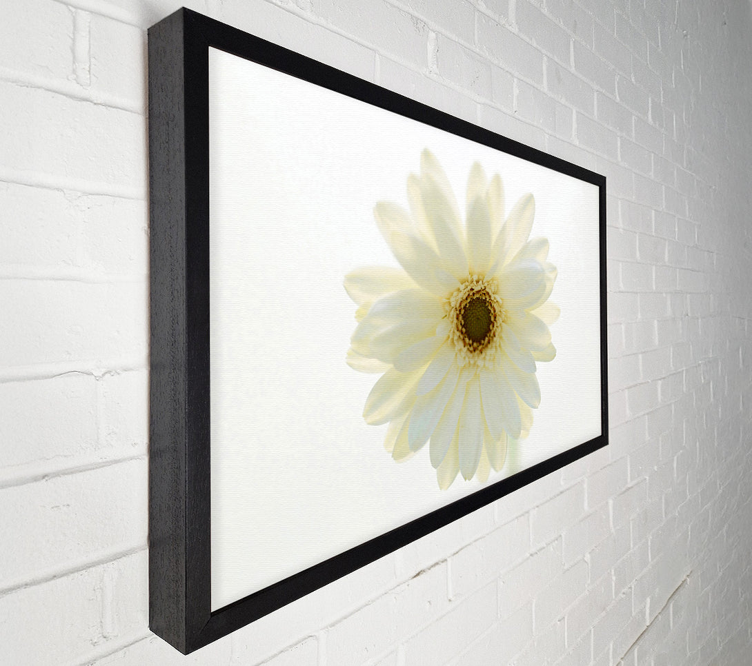  A Canvas Print of White On White Daisy Face Canvas Wall Art