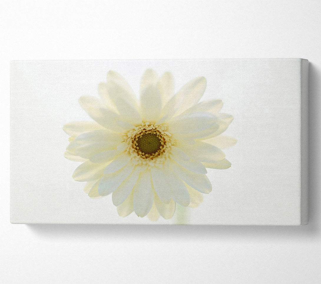  A Canvas Print of White On White Daisy Face Canvas Wall Art