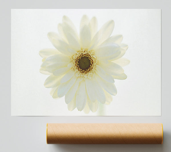 White On White Daisy Face Giclee Print