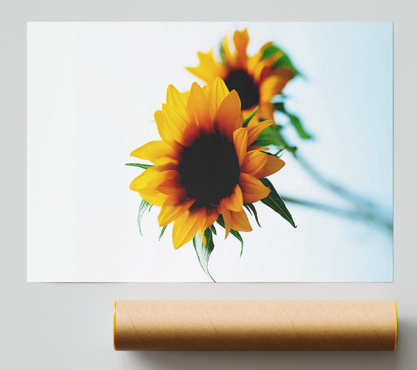 Yellow Sunflower Duo Giclee Print