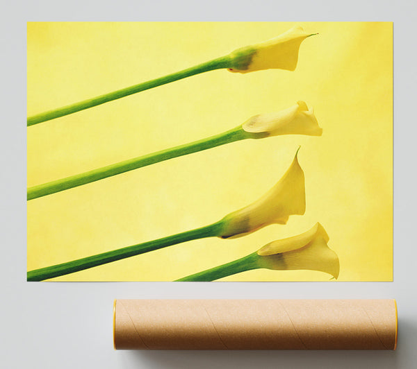 Yellow Trumpet Flowers Giclee Print