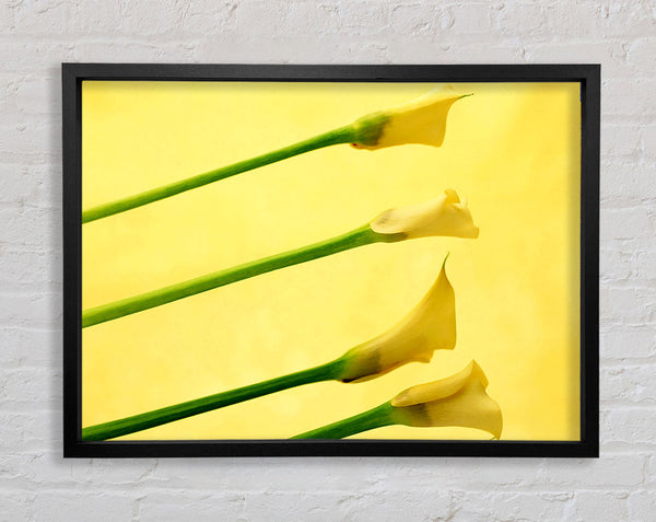 Yellow Trumpet Flowers Framed Print