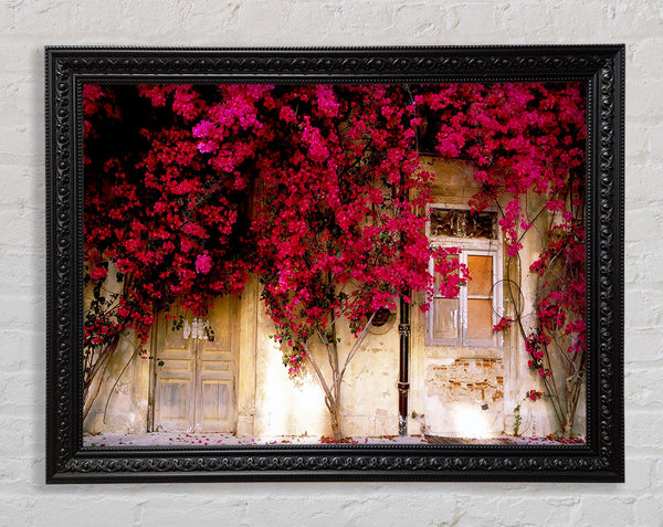 Italian Farmhouse Beauty Framed Print