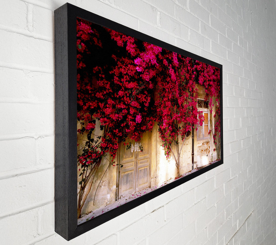  A Canvas Print of Italian Farmhouse Beauty Canvas Wall Art