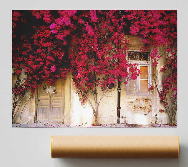 Italian Farmhouse Beauty Poster