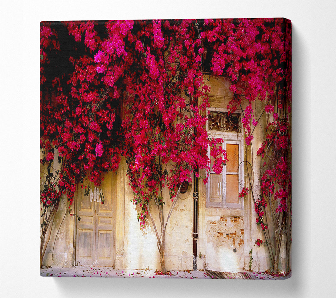  A Canvas Print of Italian Farmhouse Beauty Canvas Wall Art