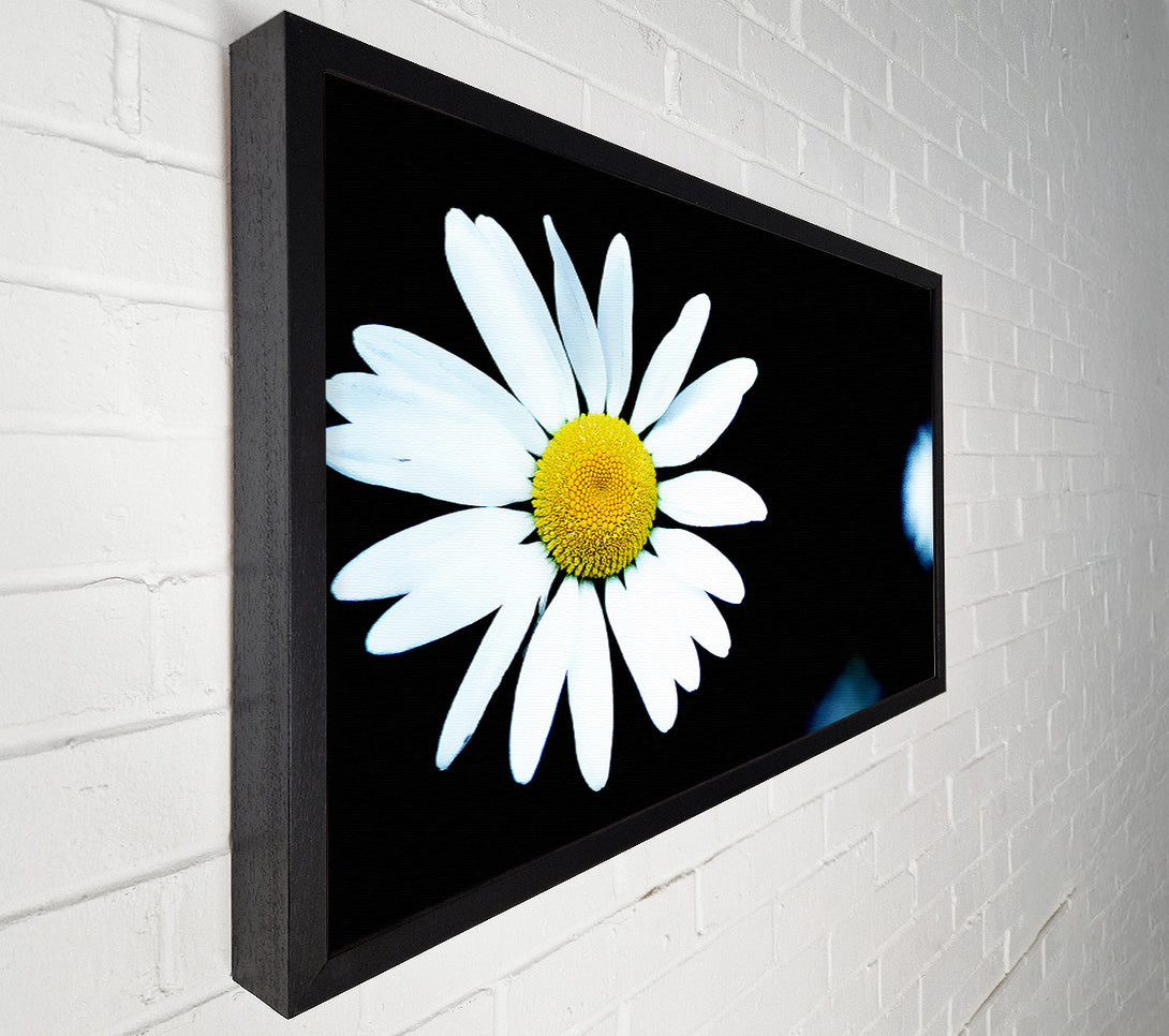  A Canvas Print of Single White Daisy Canvas Wall Art