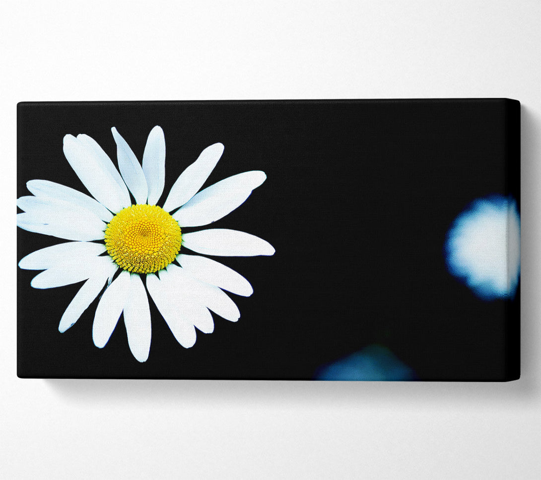  A Canvas Print of Single White Daisy Canvas Wall Art