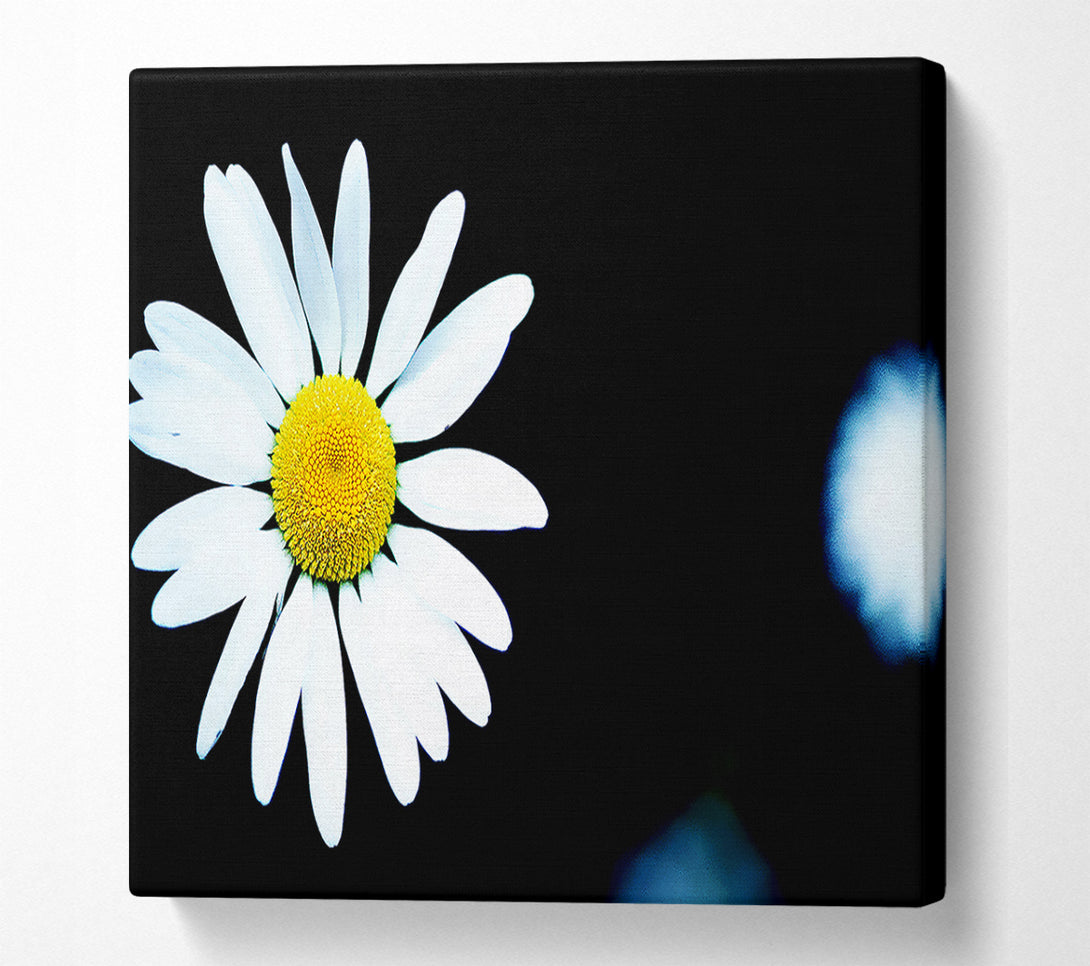  A Canvas Print of Single White Daisy Canvas Wall Art