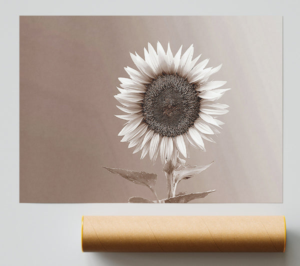 Sunflower Chocolate Print