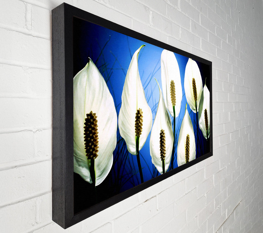  A Canvas Print of White March Canvas Art