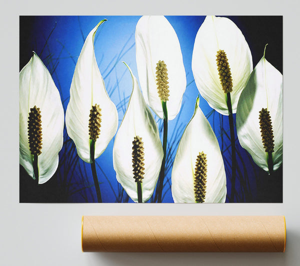 White March Print