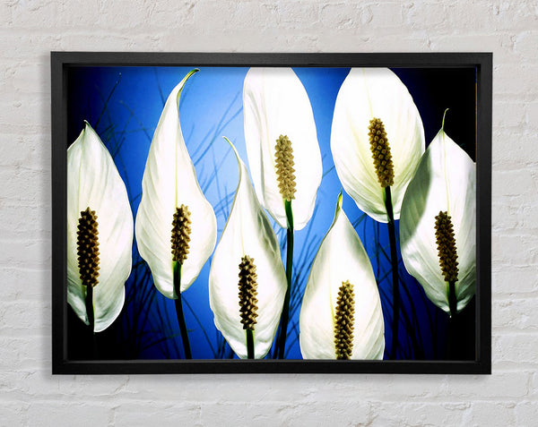 White March Framed Print