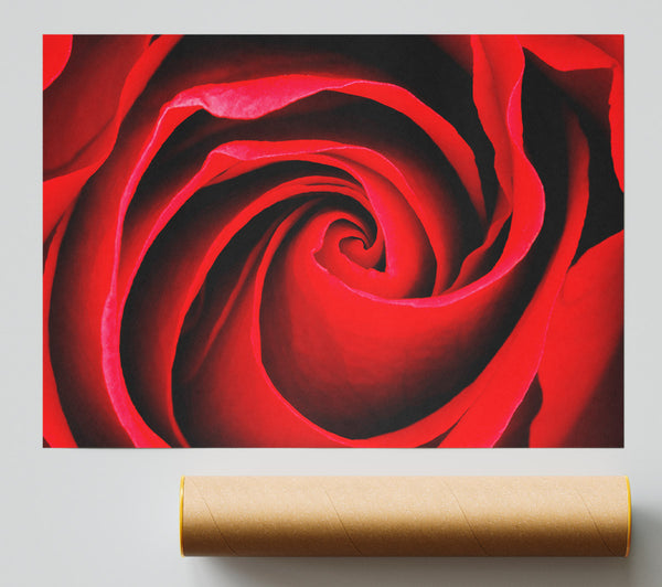Red Rose Silk Print
