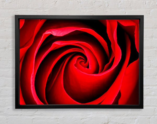 Red Rose Silk Framed Print