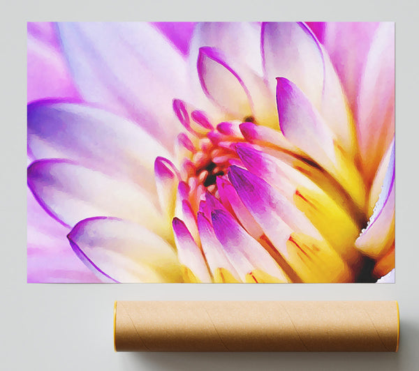 Stunning Pink Yellow Water Lily Poster