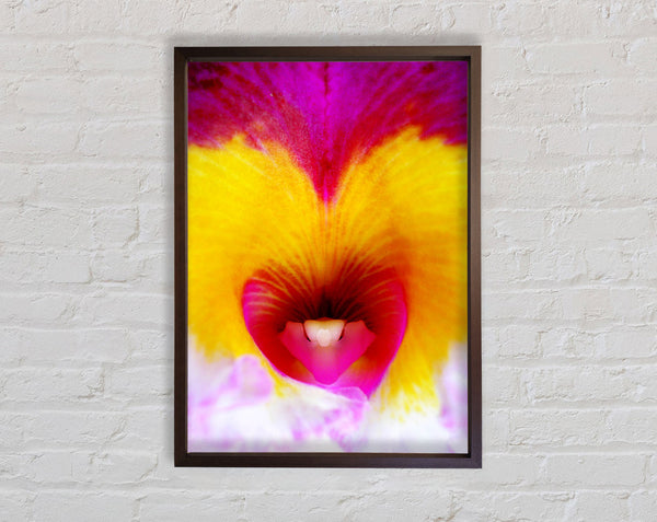 Flower Lips Framed Print