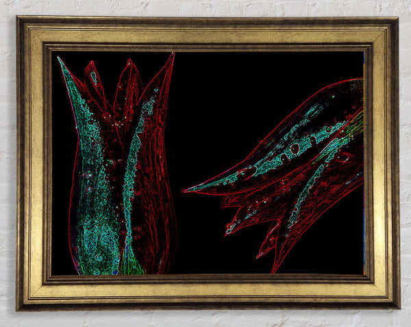 Abstract Neon Floral 37 Framed Print