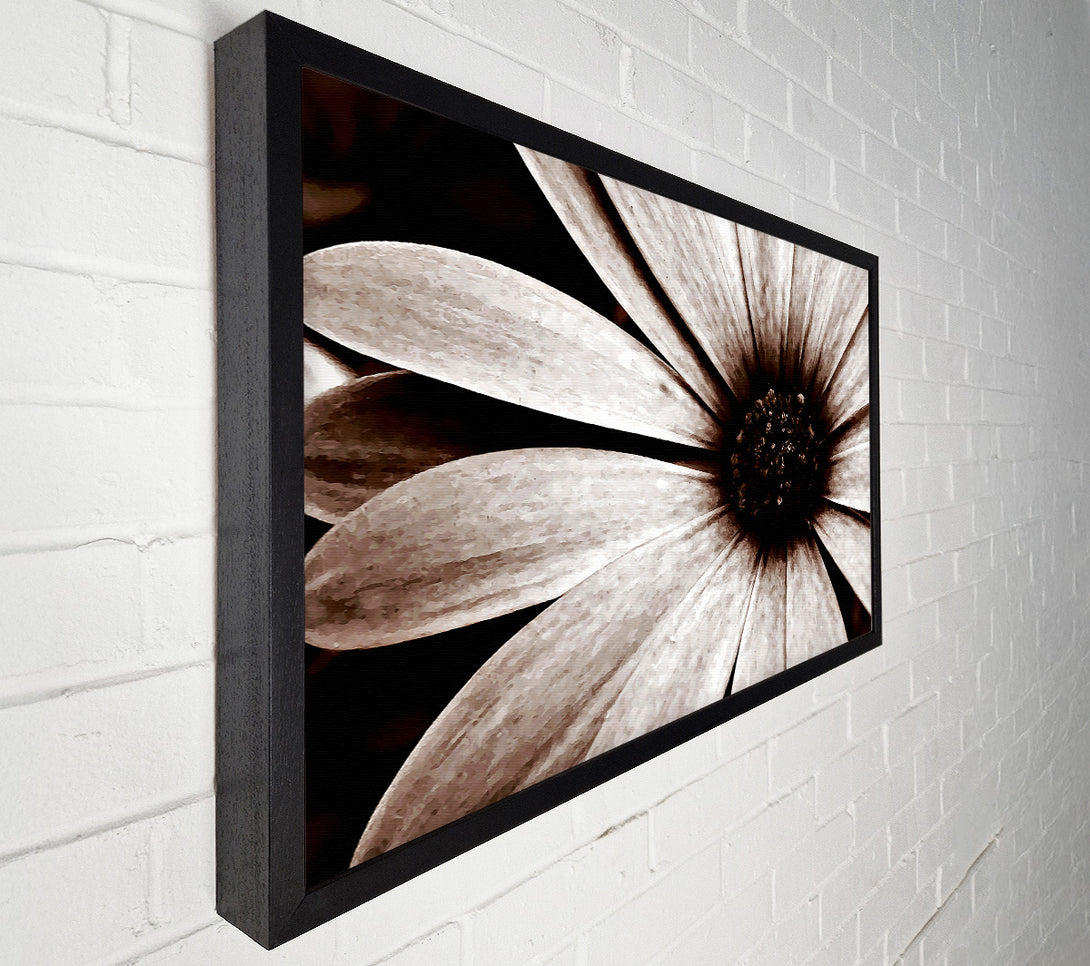  A Canvas Print of Cocoa Daisy Petals Canvas Art