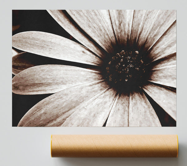 Cocoa Daisy Petals Giclee Print