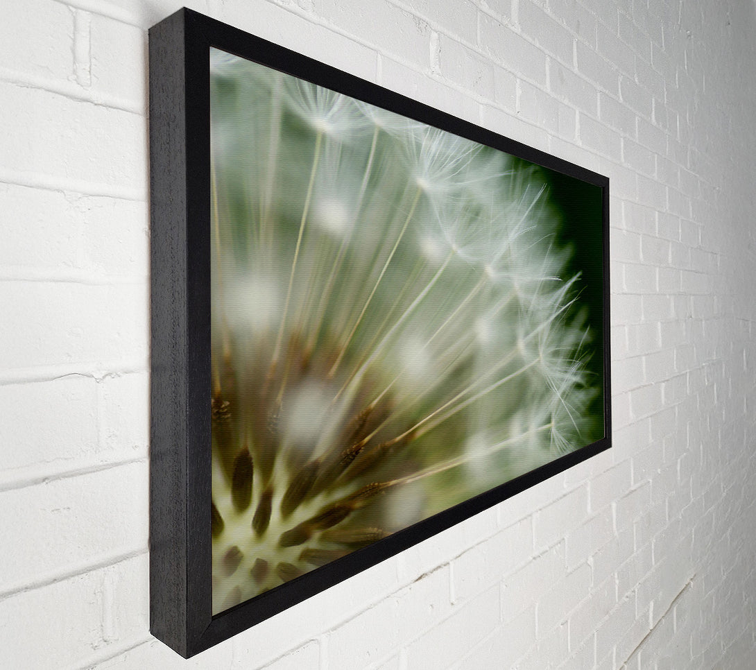  A Canvas Print of White Pom pom Centre Canvas Print