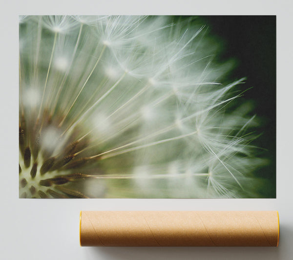 White Pom Pom Centre Print