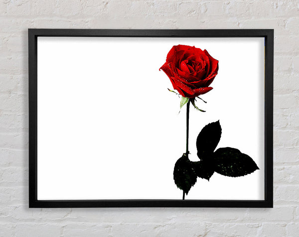 The Lovers Red Rose Framed Print