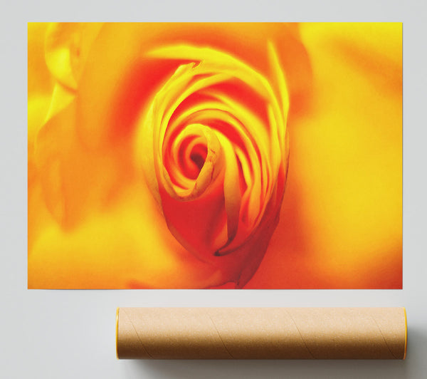 Golden Rose Centre Poster