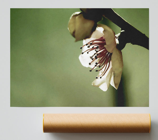 Green Apple Blossom Print