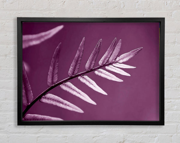 Purple Leaves Framed Print