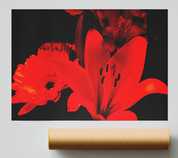 Infra Red Bloom Poster