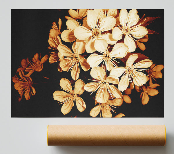 Cocoa Flowers Print